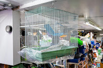 Pet NV Discounts - Photo 3 - Car repair in Brooklyn, NY, New York