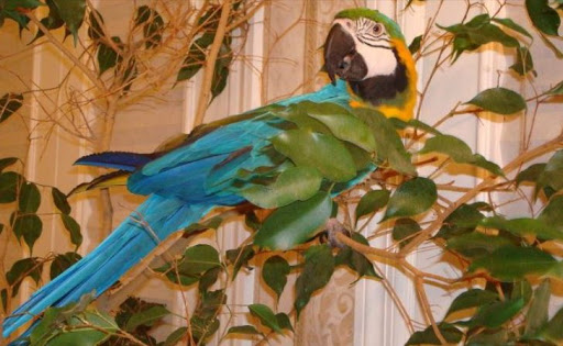 Pet Cemetery «All-Tenn Pet & Horse Cremations», reviews and photos, 2106 Ritter Rd, La Vergne, TN 37086, USA