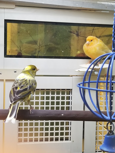 Pet Supply Store «PetSmart», reviews and photos, 15555 E 14th St, San Leandro, CA 94578, USA