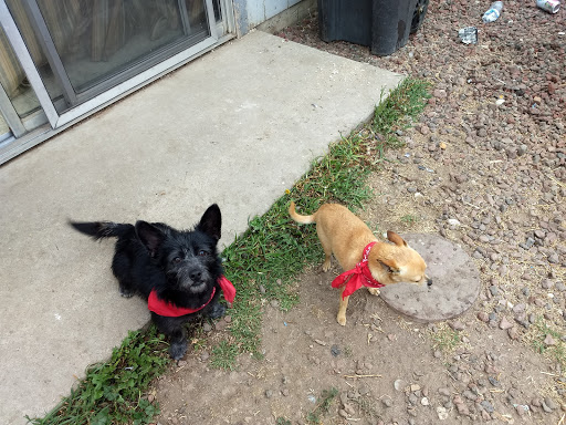 890 S 1st St, King City, CA 93930, USA