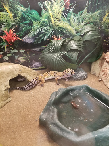 Pet Supply Store «PetSmart», reviews and photos, 482 Stillwater Ave Ste 2A, Bangor, ME 04401, USA