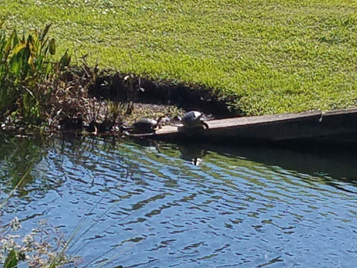 Insurance Agency «GEICO Corporate Office», reviews and photos