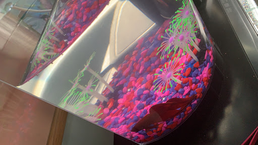 Pet Supply Store «Pet Supplies Plus», reviews and photos, 1791 Douglas Rd, Montgomery, IL 60538, USA