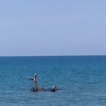 Photo n°1 de l'avis de Iosif.o fait le 17/09/2021 à 21:00 sur le  Tulum Swimming à Borgo Sabotino-Foce Verde