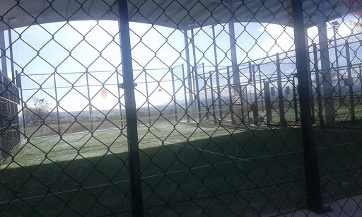 pistas de padel — foto 4