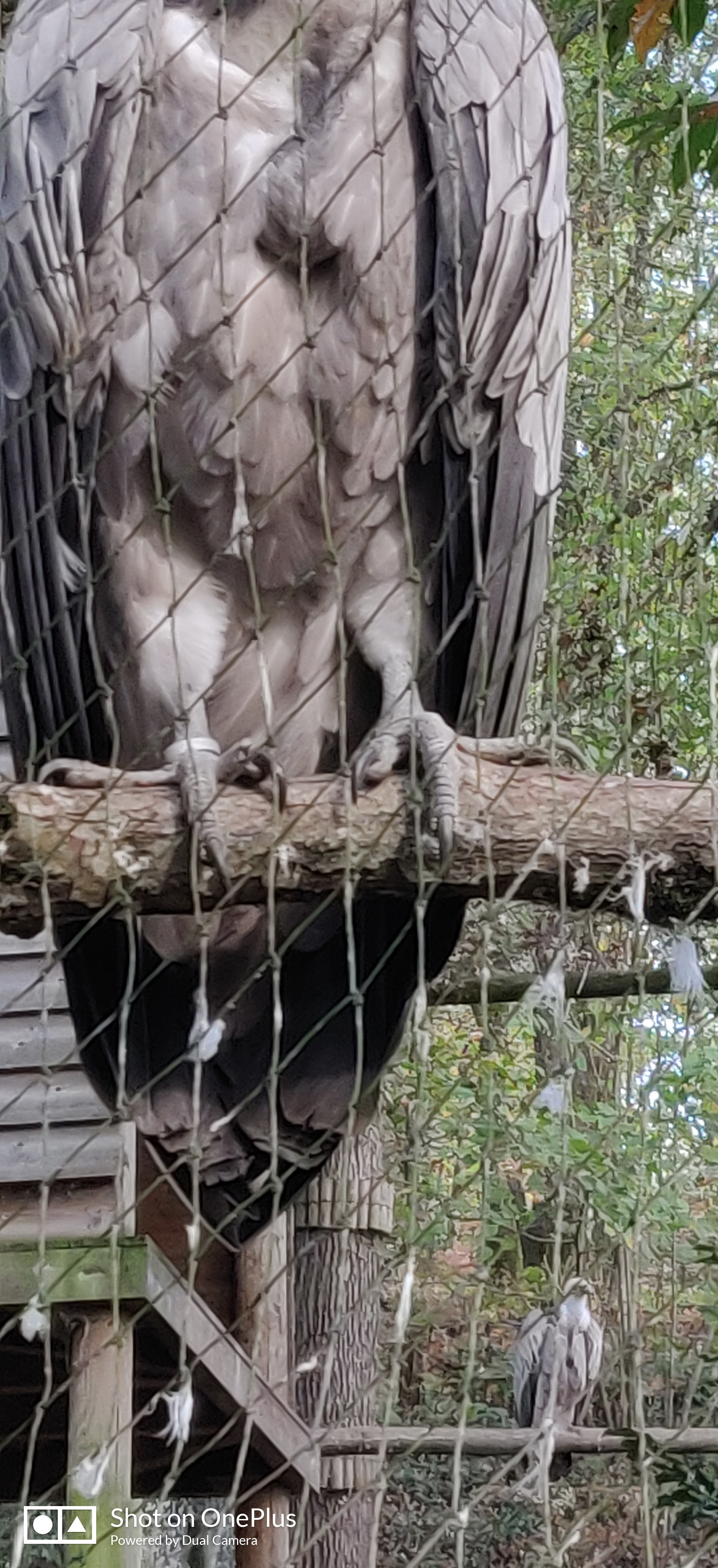 Photo n° 8 de l'avis de Jean-marc.e fait le 01/11/2022 à 19:36