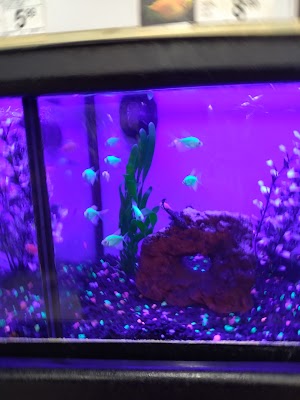 Petco - photo 76