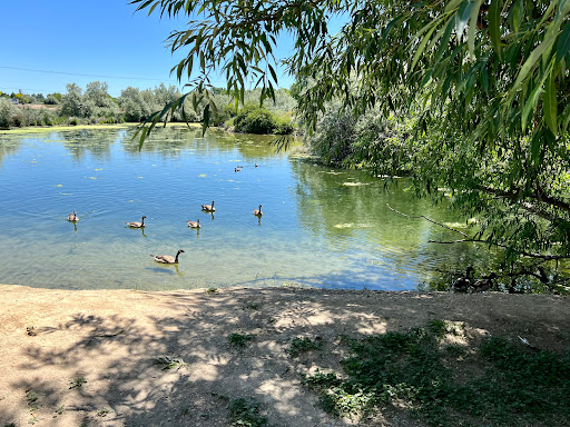 Nature Preserve «Wilson Springs Ponds», reviews and photos, 3209-3507 S Powerline Rd, Nampa, ID 83686, USA