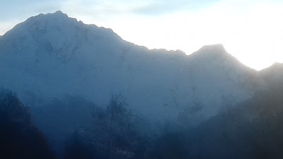 Tarentaise Charpente Roche et Fils (SARL) à Montagny
