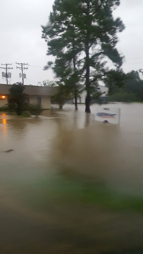 Furniture Store «The Royal Standard», reviews and photos, 16016 Perkins Rd, Baton Rouge, LA 70810, USA