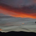 Photo n°2 de l'avis de Anita.t fait le 18/09/2021 à 21:06 sur le  RISTORANTE IL DUCHESCO DUKIBRACI à Alberese