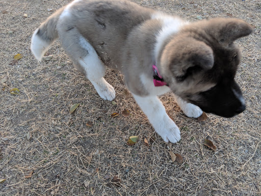 Community Center «Pecos Community Center», reviews and photos, 17010 S 48th St, Phoenix, AZ 85048, USA