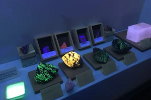 Museum Mineralist Earth Jewelry Box image