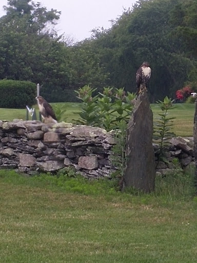 Country Club «Montaup Country Club», reviews and photos, 500 Anthony Rd, Portsmouth, RI 02871, USA