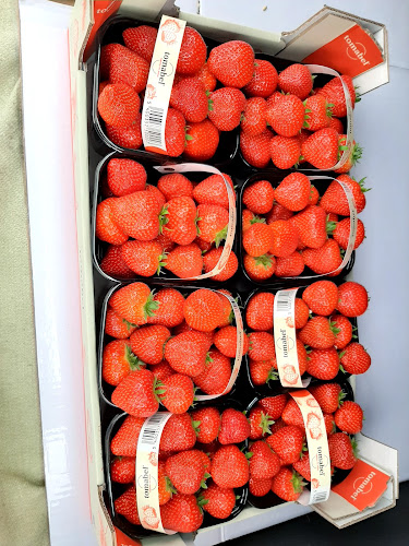 De Kersenboomgaard, kersenkwekerij en aardbeienkwekerij - Supermarkt
