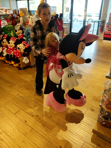 Toy Store «Disney Store», reviews and photos, 35 S Willowdale Dr, Lancaster, PA 17602, USA