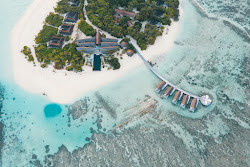 Movenpick Resort Island'in fotoğrafı geniş bir kıyı şeridi ile birlikte