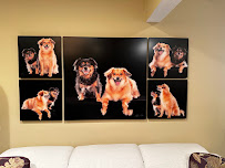 Candice C. Cusic Photography - Photo 3 - Car repair in Chicago, IL, Chicago