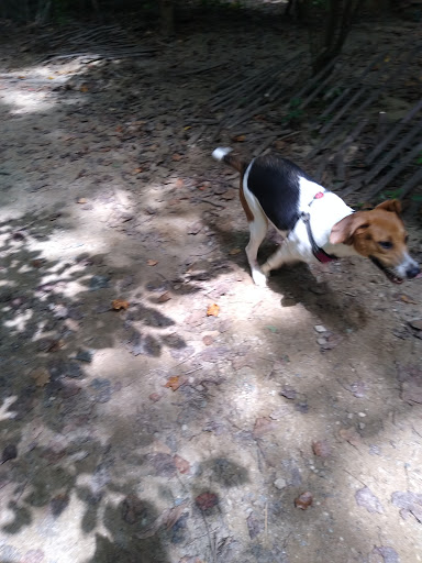 National Park «Battery Kemble Park», reviews and photos, 3035 Chain Bridge Rd NW, Washington, DC 20016, USA