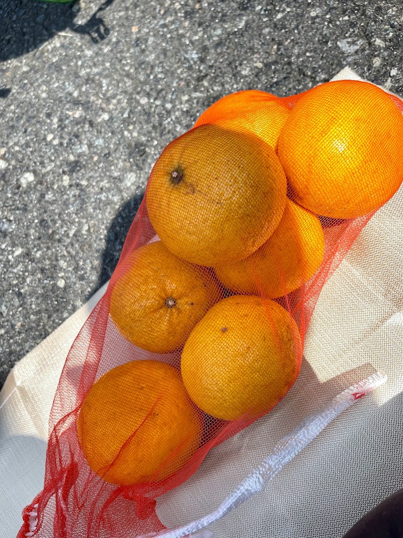 谷口農園 柑橘類の無人販売所