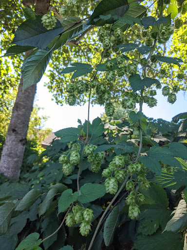 Park «Oxbow Park», reviews and photos, 6430 Corson Ave S, Seattle, WA 98134, USA