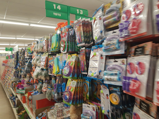 Dollar Store «Dollar Tree», reviews and photos, 21800 Towncenter Plaza #237, Sterling, VA 20164, USA
