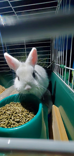 Pet Supply Store «Feeders Supply», reviews and photos, 1610 Ring Rd, Elizabethtown, KY 42701, USA