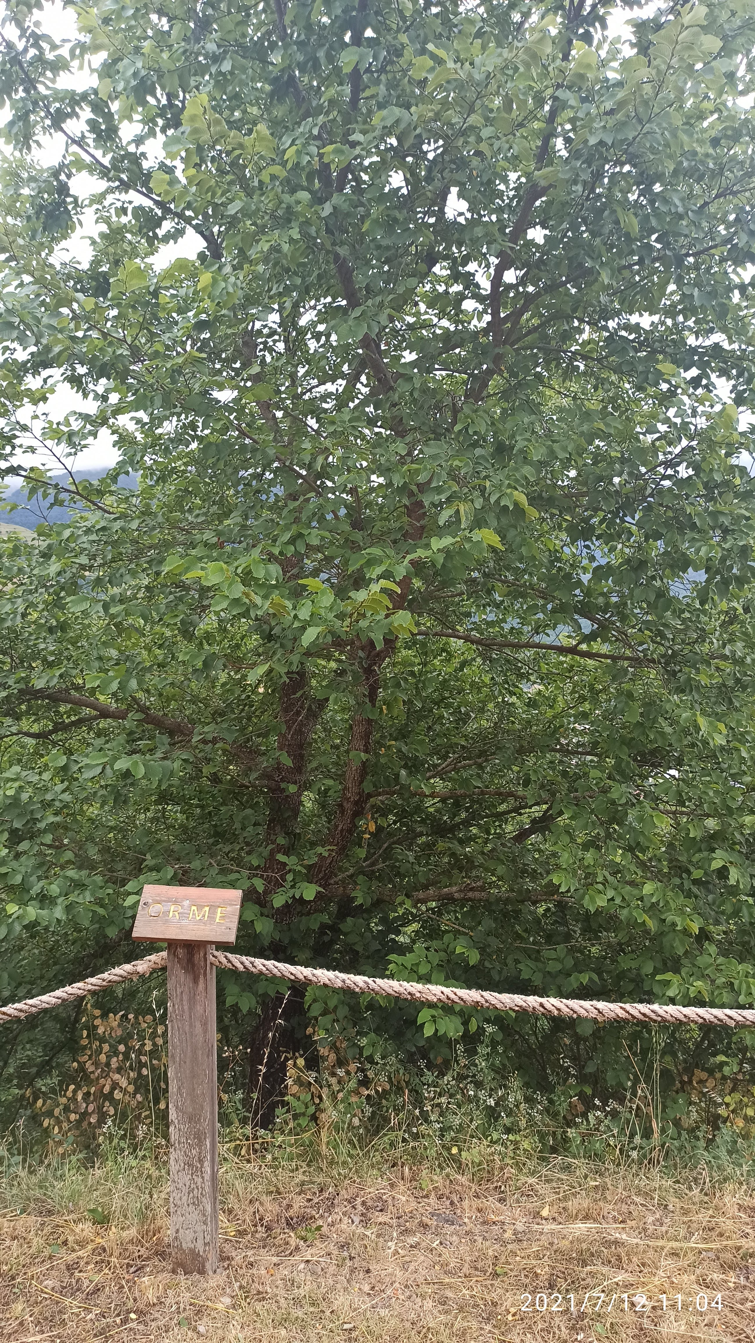 Photo n° 5 de l'avis de Anna.o fait le 14/07/2021 à 19:40