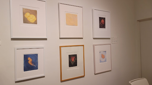 Art Museum «Museum of Contemporary Art of Georgia», reviews and photos, 75 Bennett St NW, Atlanta, GA 30309, USA