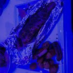 Photo n°7 de l'avis de Tom.o fait le 24/01/2023 à 18:34 sur le  Ristorante Il Pescatore Fish & More Hochzeiten Events Location à Schorndorf