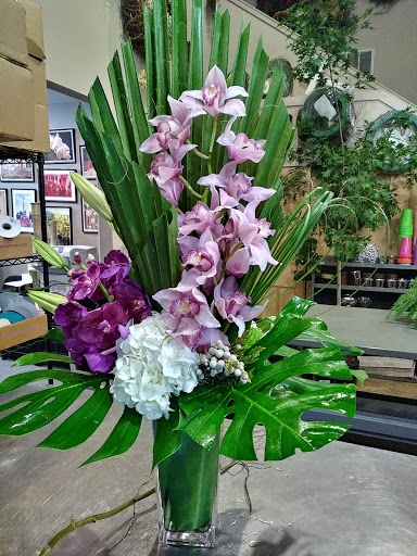 Florist «Alamo Plants & Petals», reviews and photos, 119 W Sunset Rd, San Antonio, TX 78209, USA