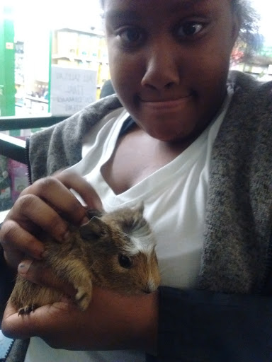 Pet Supply Store «Petco Animal Supplies», reviews and photos, 2005 W 8 Mile Rd, Detroit, MI 48203, USA