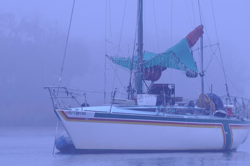 Tourist Attraction «Fun 2 Dive - Swim with Manatees», reviews and photos, 135 NE 3rd St, Crystal River, FL 34429, USA