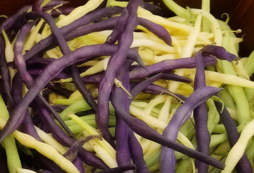 Home Improvement Store «Tractor Supply Co.», reviews and photos, 356 Frey St, Ashland City, TN 37015, USA