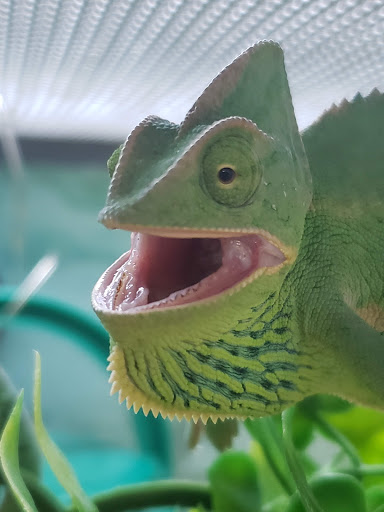 Pet Supply Store «Petco Animal Supplies», reviews and photos, 2095 N Harris Blvd, Layton, UT 84041, USA