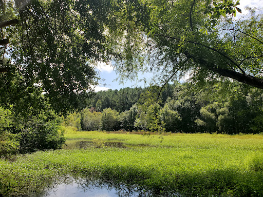 Nature Preserve «Clyde Shepherd Nature Preserve», reviews and photos, 2580 Pine Bluff Dr, Decatur, GA 30033, USA