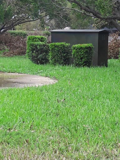 Park «Zinkil Park», reviews and photos, 5451 Washington St, Hollywood, FL 33021, USA