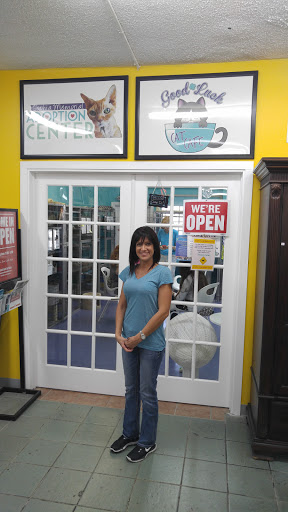 Thrift Store «Boomerangs Thrift Store», reviews and photos, 2365 Wilton Dr, Wilton Manors, FL 33305, USA