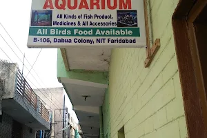 Sapna Fish Aquarium image