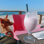 Photo n°1 de l'avis de Sara.i fait le 01/02/2023 à 14:18 sur le  Bar é Nostrum Beach Culture à Gafanha da Encarnação