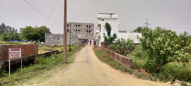 Google Maps image 14