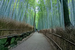 Arashiyama Bamboo Forest image