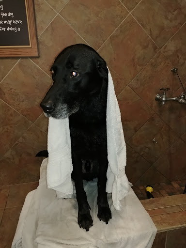 Pet Supply Store «Pet Valu», reviews and photos, 18115 Town Center Dr, Olney, MD 20832, USA