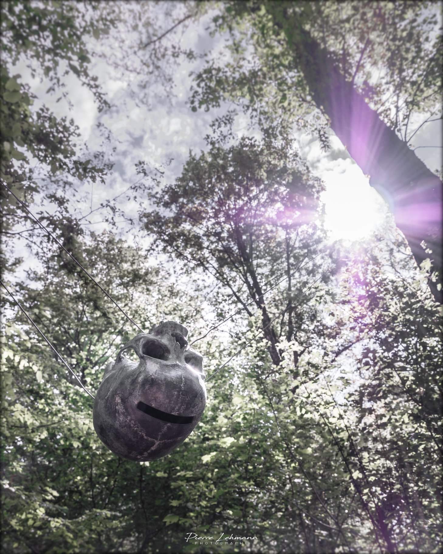 Photo n° 20 de l'avis de Pierre.e fait le 30/05/2019 à 14:15
