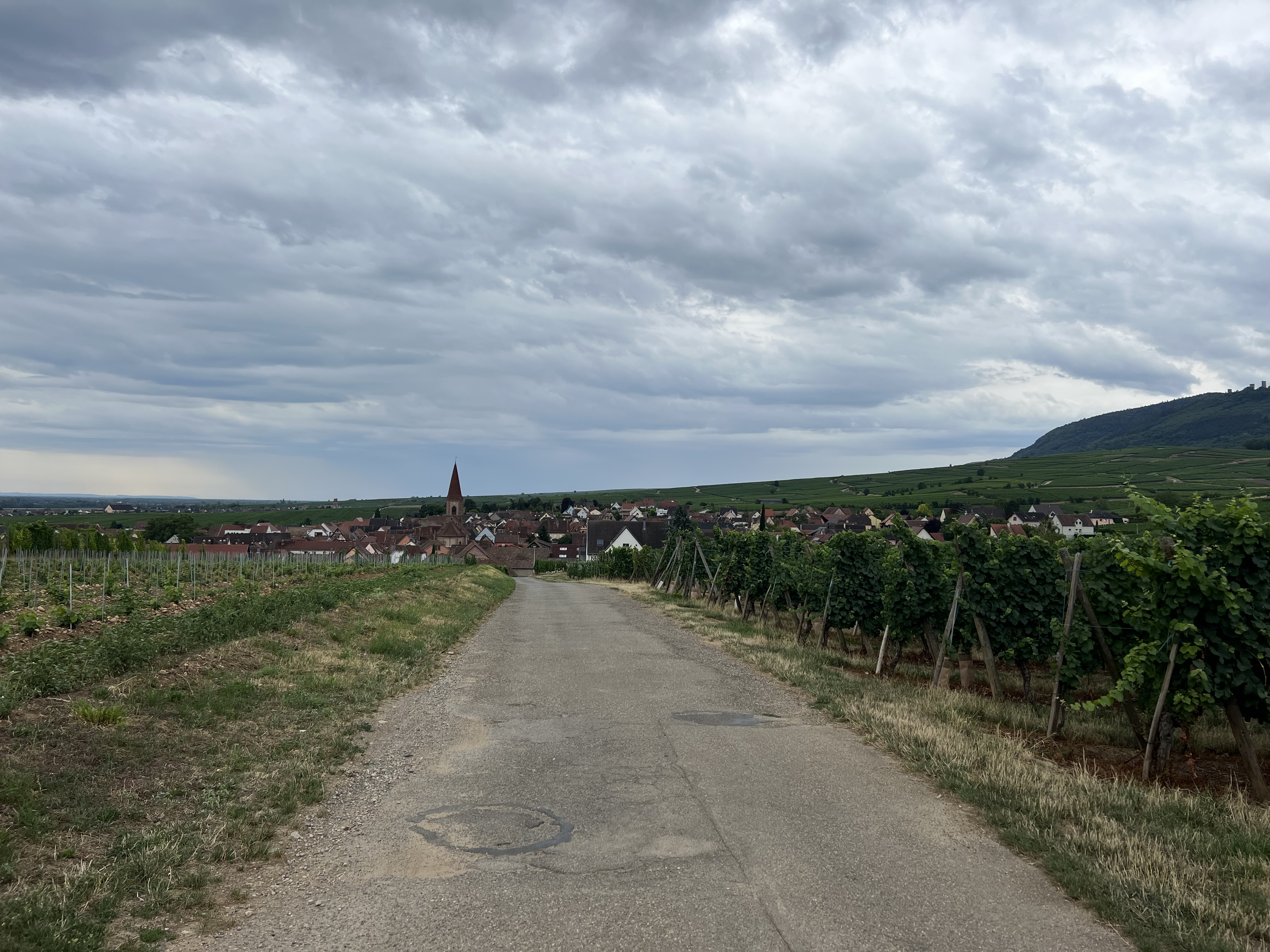 Photo n° 1 de l'avis de Sacha.a fait le 27/07/2023 à 13:54