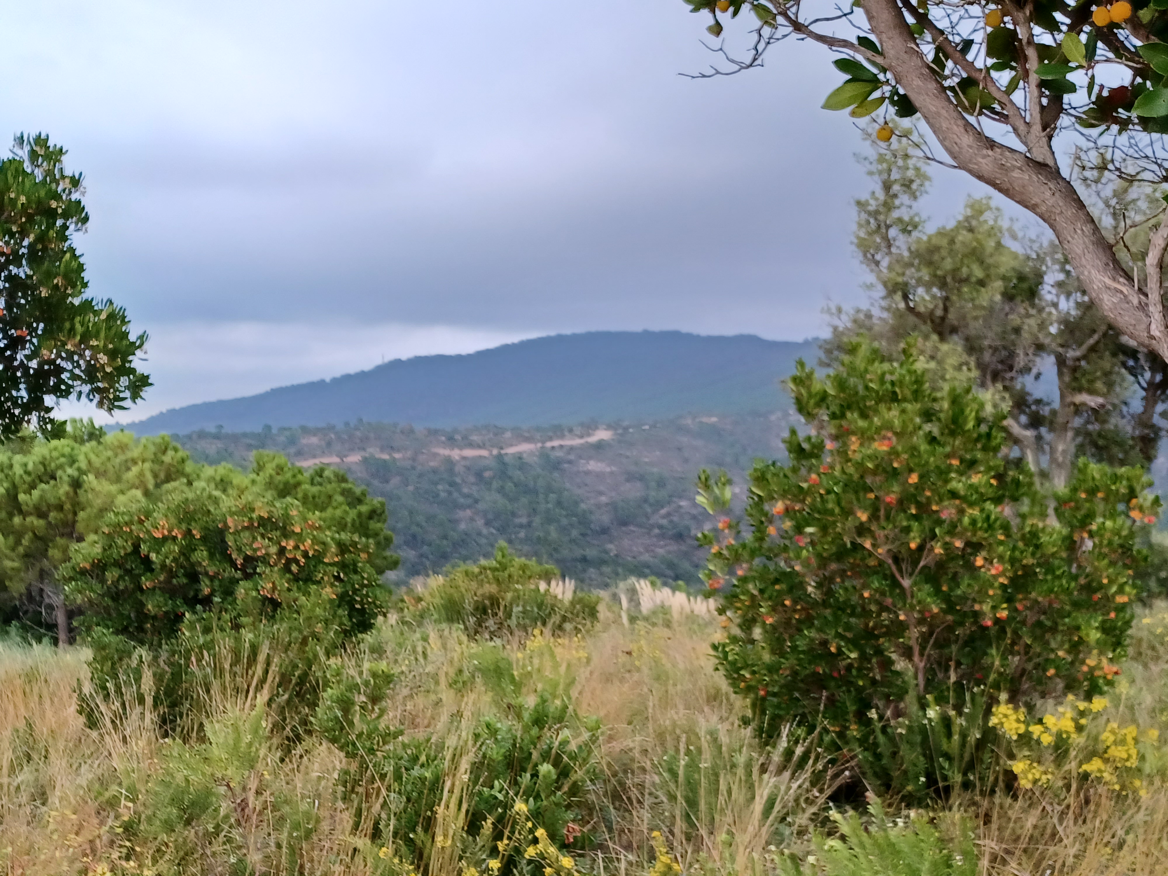 Photo n° 1 de l'avis de AM. fait le 13/11/2023 à 11:28