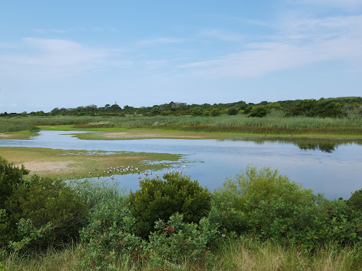 Bird Watching Area «South Cape May Meadows», reviews and photos, 692 Sunset Blvd, Cape May, NJ 08204, USA