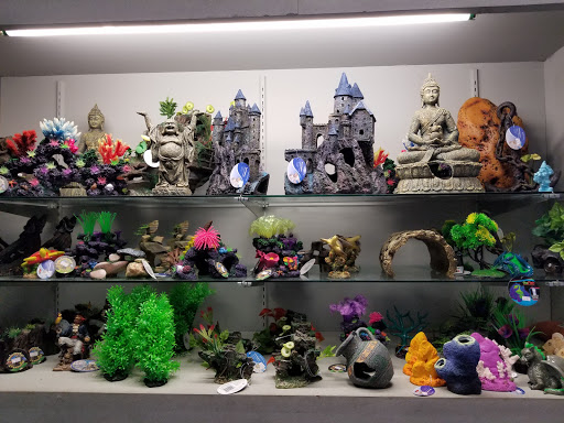 Tropical Fish Store «Trop Aquarium», reviews and photos, 3125 E Tropicana Ave D, Las Vegas, NV 89121, USA