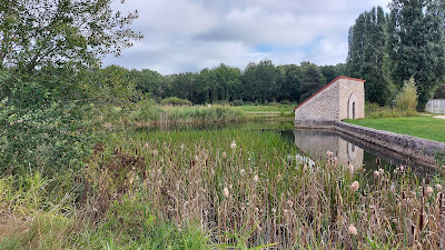 Parc de l'Ardrouillère à Ollainville