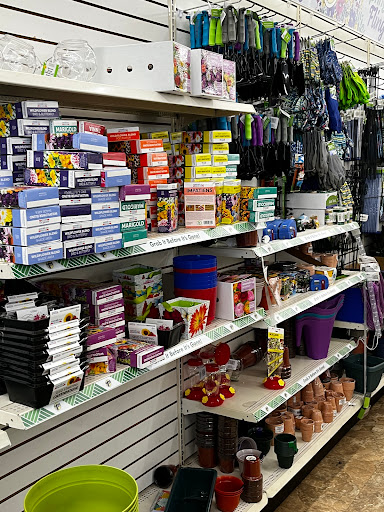 Dollar Store «Dollar Tree», reviews and photos, 2540 Cumberland Blvd SE, Smyrna, GA 30080, USA